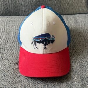 Patagonia Trucker hat